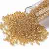 TOHO Round Seed Beads SEED-TR08-0103B-1