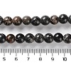 Dyed Natural Regalite/Imperial Jasper/Sea Sediment Jasper Beads Strands G-B124-C01-6