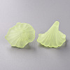 Transparent Acrylic Beads BSF796-C17-2