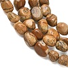 Natural Picture Jasper Beads Strands G-C286-A07-3