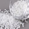 (Repacking Service Available) Glass Seed Beads SEED-C020-2mm-141-1