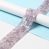 Natural Amethyst Beads Strands G-I327-A03-2