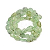 Natural Prehnite Beads Strands G-R445-8x10-25-01-5