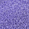 MIYUKI Delica Beads X-SEED-J020-DB0249-3