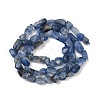 Natural Kyanite Beads Strands G-Q060-D17-3