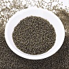 MIYUKI Delica Beads SEED-X0054-DB0384-2