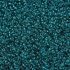 MIYUKI Round Rocailles Beads X-SEED-G007-RR2405-3