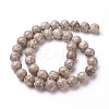Natural Fossil Coral Beads Strands G-F563-02-8mm-2