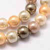 Shell Pearl Bead Strands X-BSHE-L017-12-3