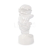 Natural Selenite Figurines DJEW-Q006-01F-1