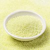 MIYUKI Round Rocailles Beads SEED-JP0010-RRHB267-2