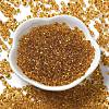 Transparent Colours Glass Seed Beads SEED-P006-02A-15-2