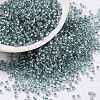 Cylinder Seed Beads SEED-H001-G08-1