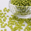 (Repacking Service Available) 6/0 Glass Seed Beads SEED-C014-4mm-24-1