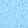 FGB Frosted Transparent Glass Seed Beads SEED-N013-03A-11-3