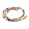 Natural Seashell Beads Strands SSHEL-H072-14-2