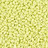 Baking Paint Glass Seed Beads SEED-T006-03D-2