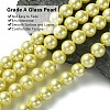Eco-Friendly Glass Pearl Beads Strands HY-A008-14mm-RB012-3
