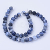 Natural Sodalite Beads Strands G-Q462-12mm-07-2