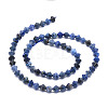 Natural Sodalite Beads Strands G-E569-D07-2