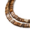 Natural Picture Jasper Beads Strands G-Z045-A09-01-4