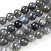 Grade AA Natural Gemstone Labradorite Round Beads Strands X-G-E251-33-6mm-2