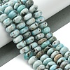 Natural Larimar Beads Strands G-H004-A01-01-2