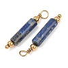 Natural Lapis Lazuli Pendants GG-CBA5E56-01G-01-2