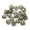 Natural Labradorite Cabochons G-H309-01-07-1