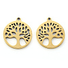 304 Stainless Steel Pendants X-STAS-N092-09G-2