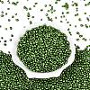 Baking Paint Glass Seed Beads GLAA-Q119-01-B04-2
