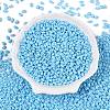 Baking Paint Glass Seed Beads SEED-T006-03I-1