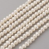 Natural Cultured Freshwater Pearl Beads Strands PEAR-G007-33-01-1