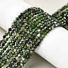 Natural Diopside Beads Strands G-G188-B14-03-1