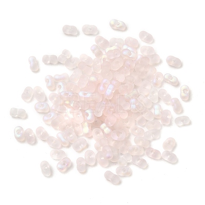 Glass Frosted Seed Beads SEED-NH0002-01B-1