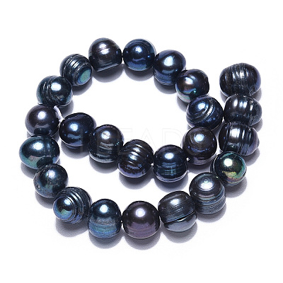 Natural Cultured Freshwater Pearl Beads Strands PEAR-S012-45-1