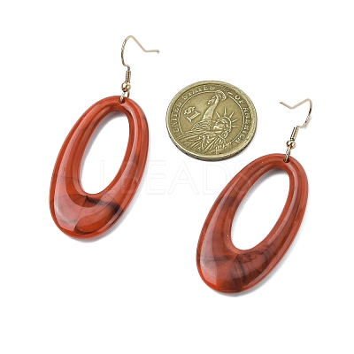 Acrylic Dangle Earrings EJEW-JE06295-1