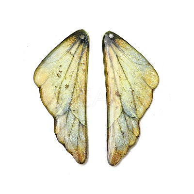 2Pcs Transparent Epoxy Resin Pendants RESI-A044-04C-1