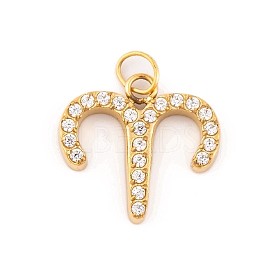 316 Stainless Steel Micro Pave Cubic Zirconia Pendants STAS-K284-01A-G-1