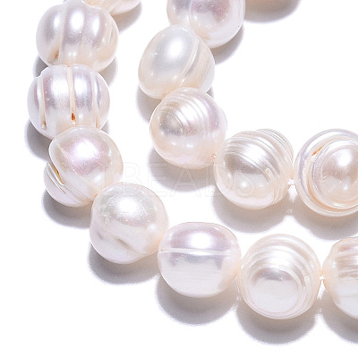 Natural Cultured Freshwater Pearl Beads Strands PEAR-N013-10F-1