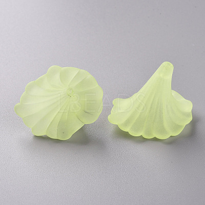 Transparent Acrylic Beads BSF796-C17-1