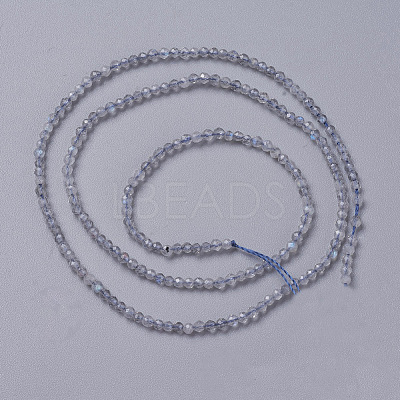 Natural Labradorite Beads Strands G-F596-43-2mm-1
