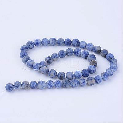 Natural Blue Spot Jasper Beads Strands G-Q462-6mm-06-1