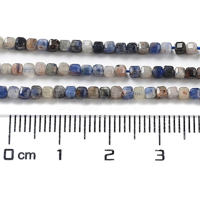 Natural Sodalite Beads Strands G-J400-A06-01-1