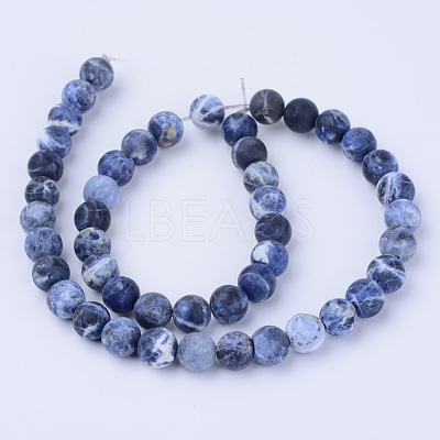 Natural Sodalite Beads Strands X-G-Q462-10mm-07-1
