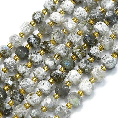 Natural Labradorite Beads Strands G-K389-E41-01-1