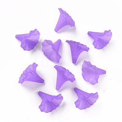 Transparent Acrylic Beads X-BSF796-C26-1