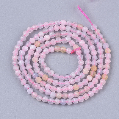 Natural Morganite Beads Strands X-G-S361-2mm-021-1