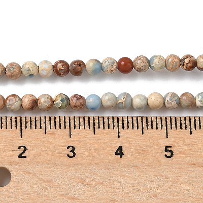 Dyed Natural Regalite/Imperial Jasper/Sea Sediment Jasper Beads Strands G-B124-C05-04-1