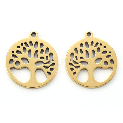 304 Stainless Steel Pendants X-STAS-N092-09G-1